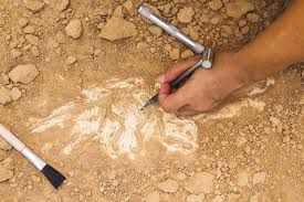 Laboratorio geobiolab progetto kids