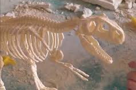 Laboratorio geobiolab progetto kids