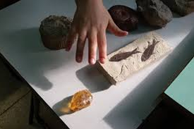 Laboratorio geobiolab progetto kids