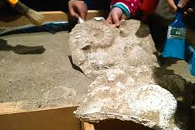 Laboratorio geobiolab progetto kids