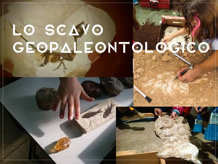 Lo scavo geopaleontologico progetto kids