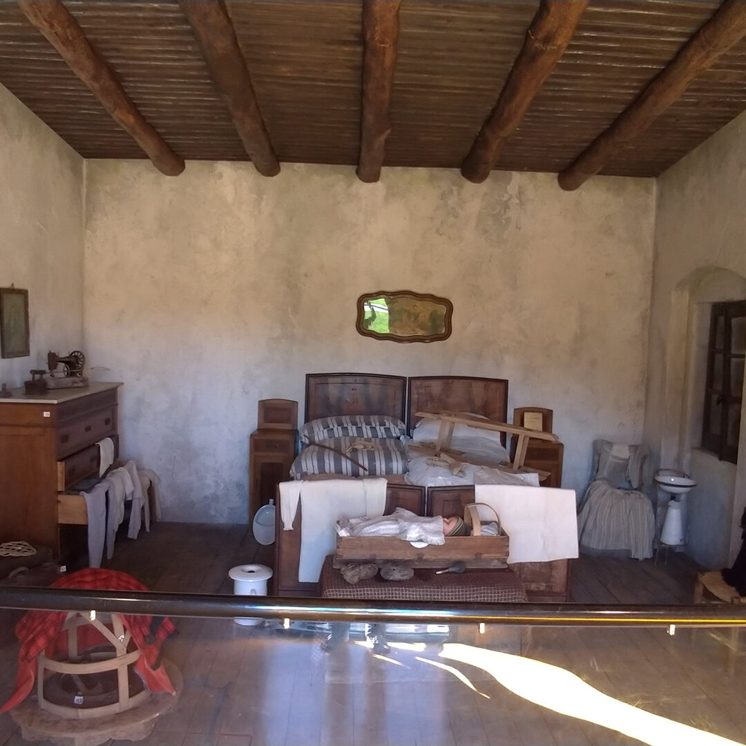 Musa - museo dell'agricoltura